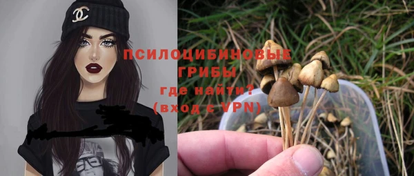 не бодяженный Семёнов