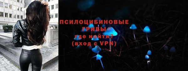 COCAINE Бородино
