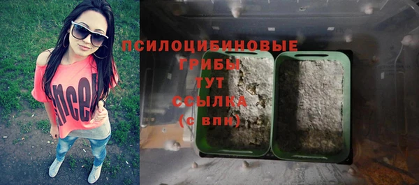 COCAINE Бородино