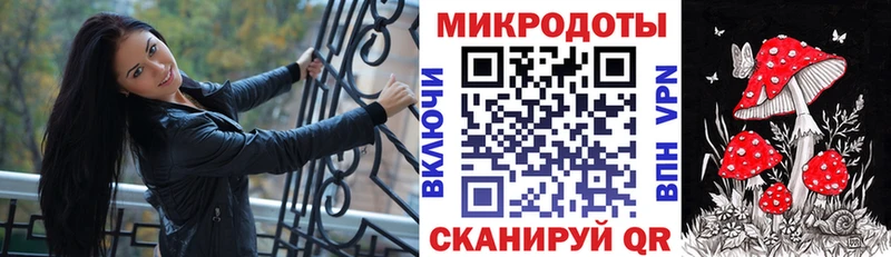 где можно купить   Трубчевск  Псилоцибиновые грибы мицелий 
